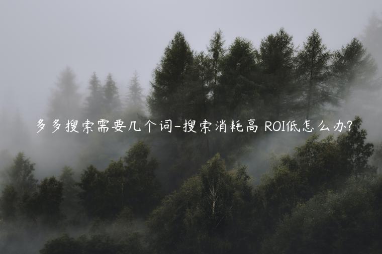 多多搜索需要幾個詞-搜索消耗高 ROI低怎么辦?